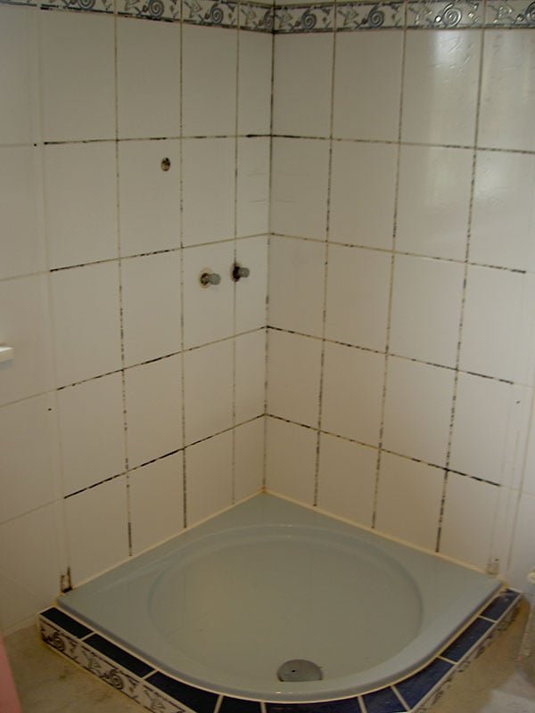tepper-reparaturen-schimmel-01